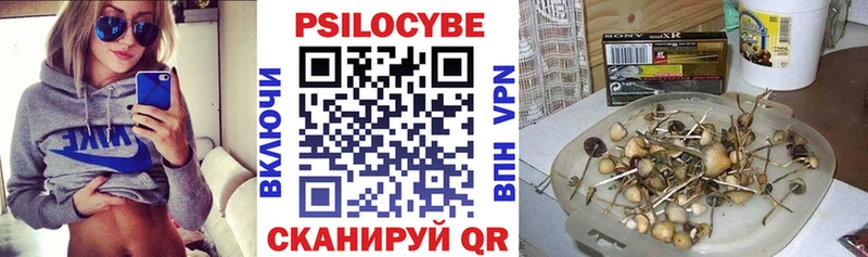 сколько стоит  Волгоград  Галлюциногенные грибы Cubensis 